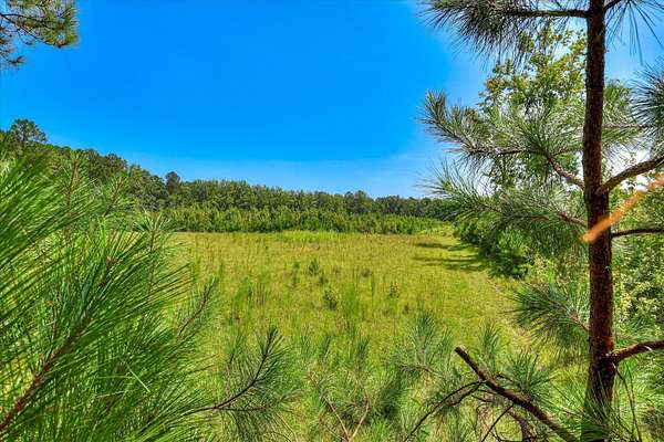 144 Acres of Recreational Land for Sale in Jackson, South Carolina