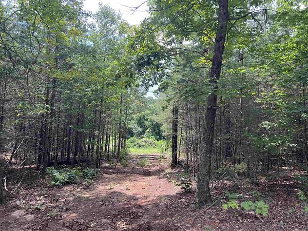 1 Acre of Residential Land for Sale in Landrum, South Carolina