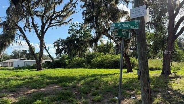 0.17 Acres of Residential Land for Sale in Thonotosassa, Florida