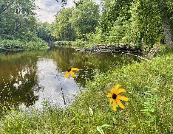 1.53 Acres of Land with Home for Sale in Harrison, Michigan