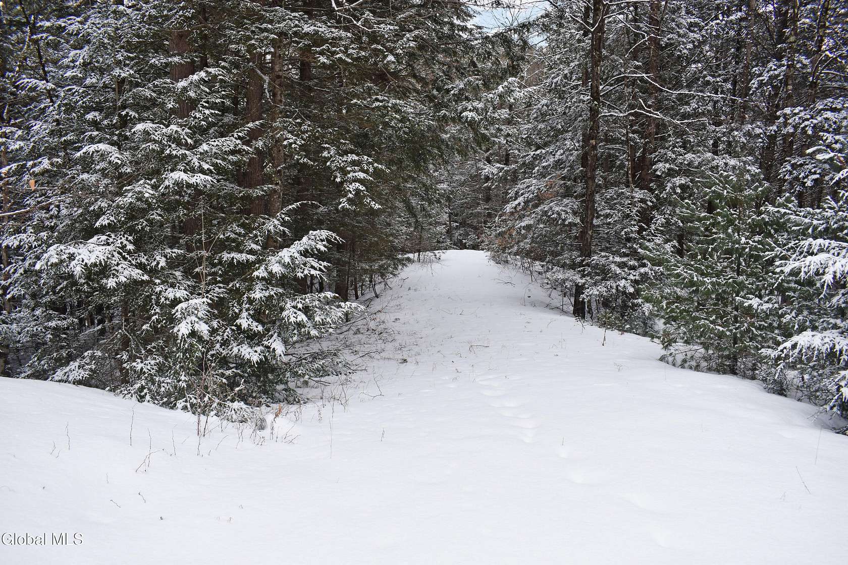 2 Acres of Residential Land for Sale in Chestertown, New York