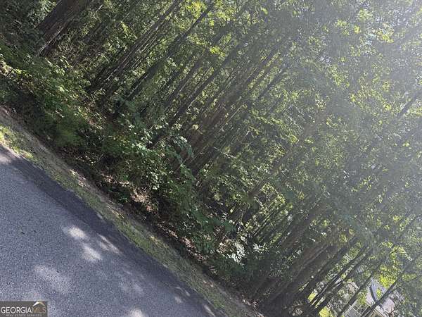 0.49 Acres of Residential Land for Sale in Luthersville, Georgia