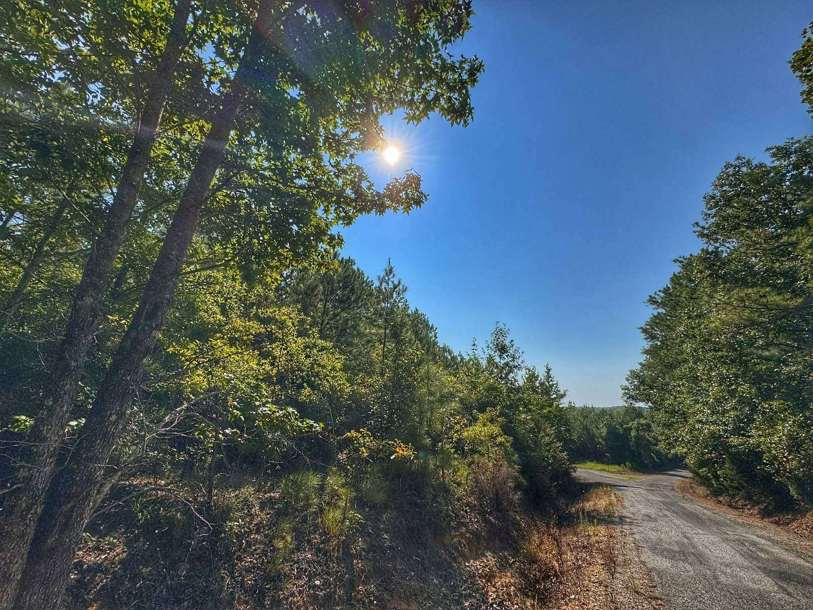 10.8 Acres of Recreational & Residential Land for Sale in Hamilton, Alabama