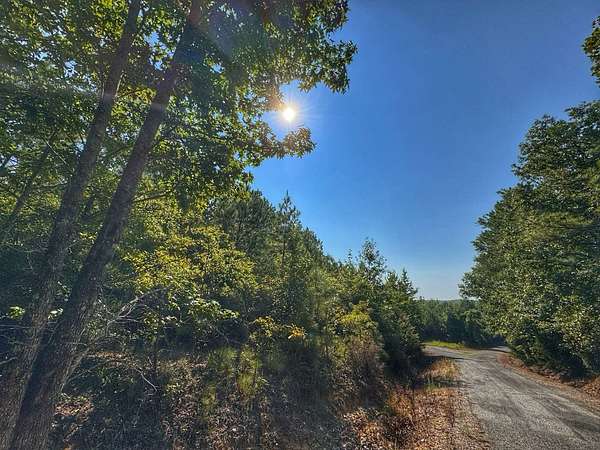 10.8 Acres of Recreational & Residential Land for Sale in Hamilton, Alabama