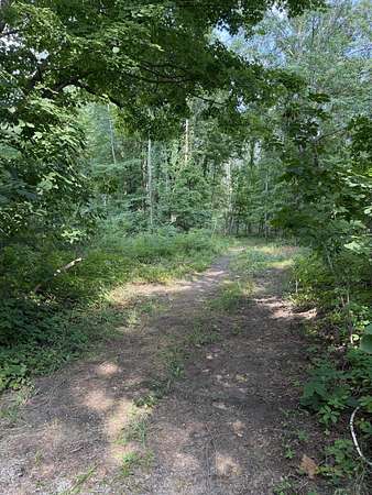 3.32 Acres of Residential Land for Sale in Grand Junction, Michigan