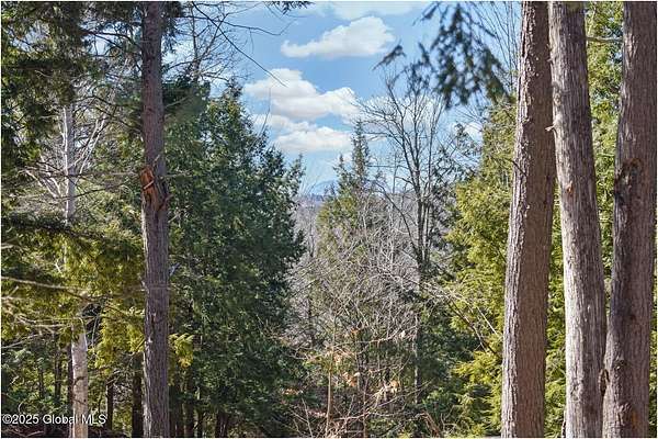 8.8 Acres of Residential Land for Sale in Adirondack, New York