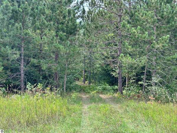 2.5 Acres of Mixed-Use Land for Sale in Mancelona, Michigan