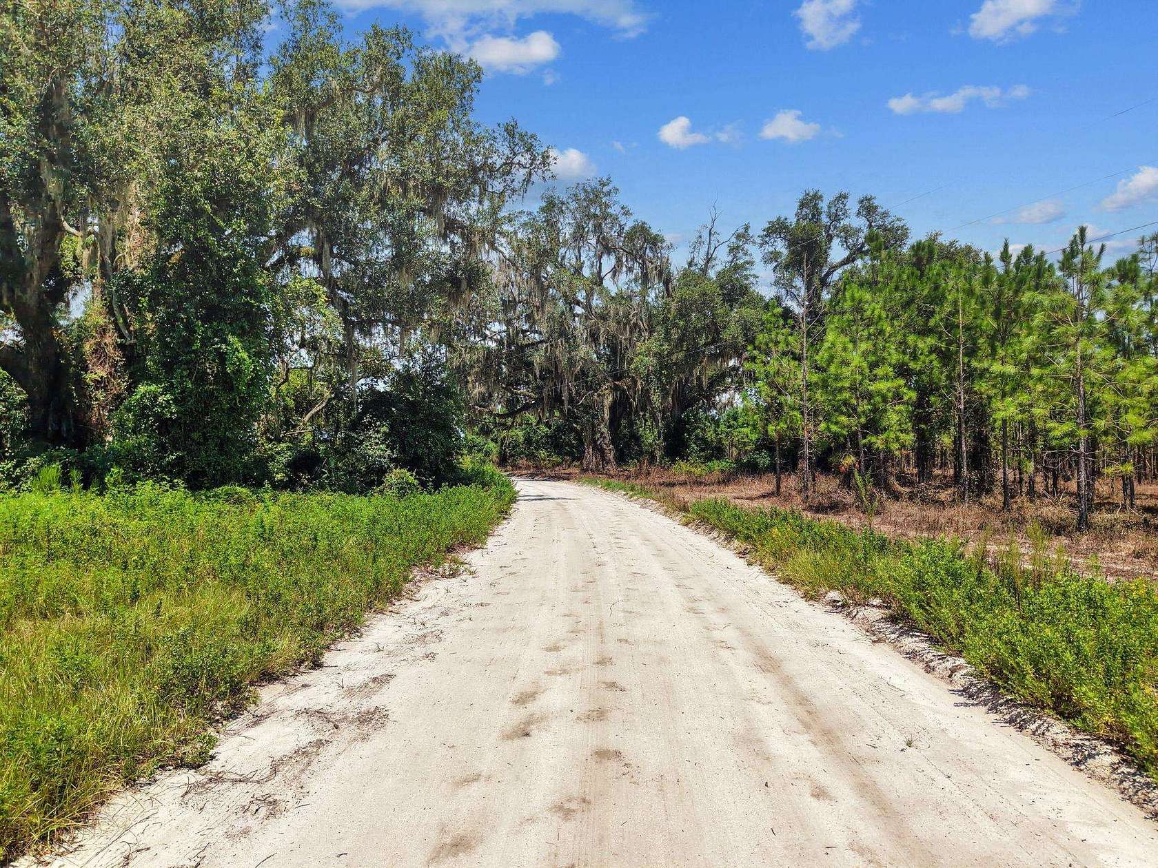 21.5 Acres of Land with Home for Sale in Mayo, Florida