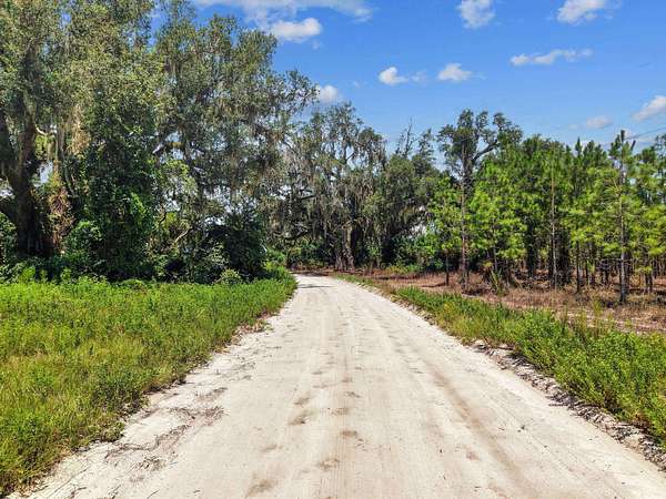 21.5 Acres of Land with Home for Sale in Mayo, Florida