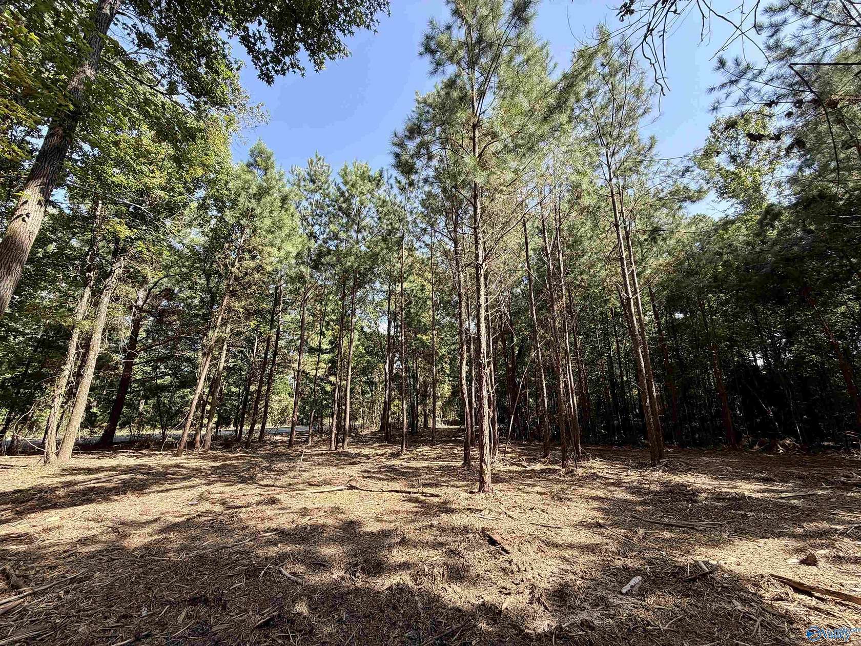 5 Acres of Residential Land for Sale in Gadsden, Alabama