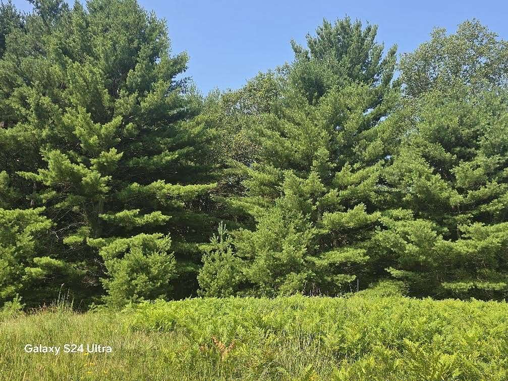 19.2 Acres of Recreational & Residential Land for Sale in Irons, Michigan