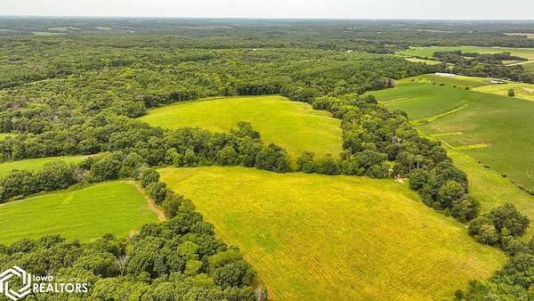 70 Acres of Land for Sale in Farmington, Iowa