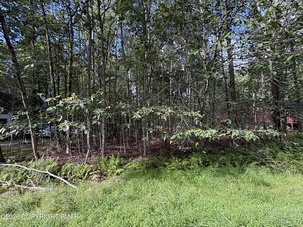 0.27 Acres of Residential Land for Sale in Pocono Lake, Pennsylvania