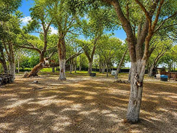 6.29 Acres of Agricultural Land for Sale in Lake Wales, Florida
