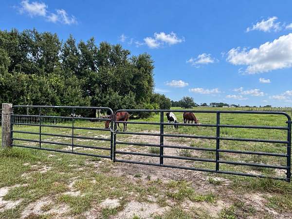 6.29 Acres of Residential Land for Sale in Lake Wales, Florida