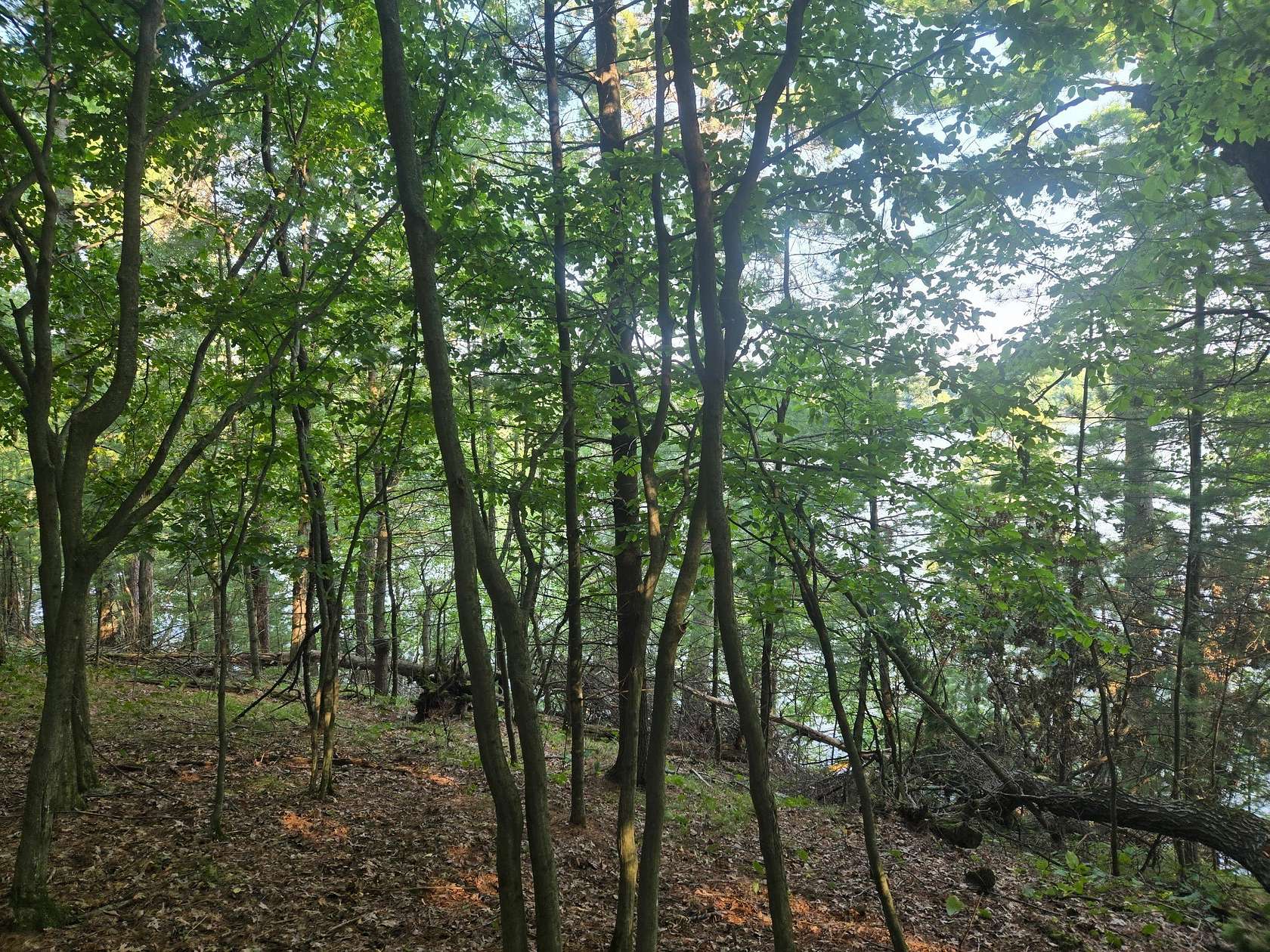 1.63 Acres of Residential Land for Sale in Chippewa Falls, Wisconsin