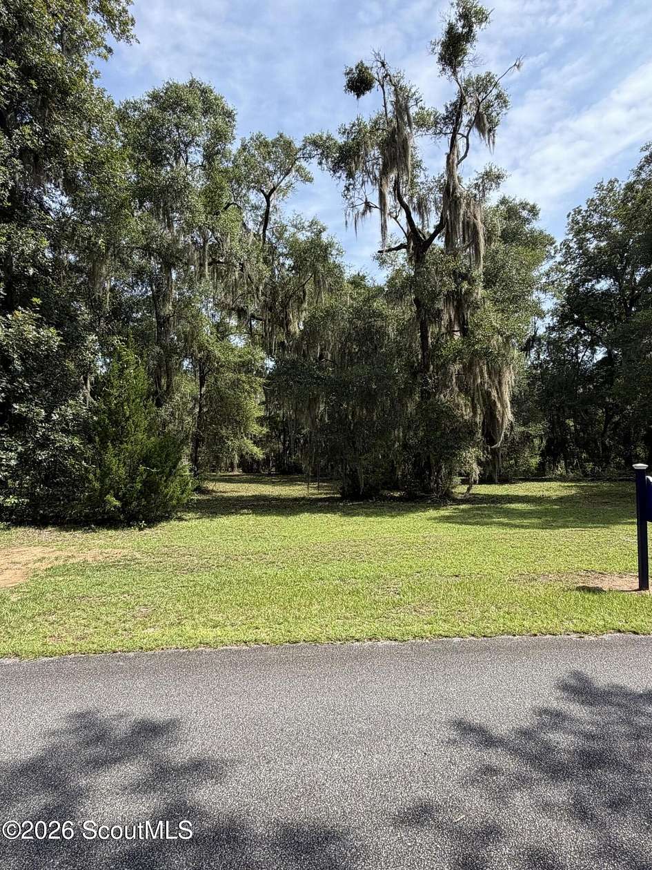 0.58 Acres of Residential Land for Sale in Darien, Georgia