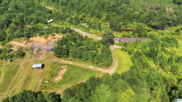 10 Acres of Residential Land for Sale in Cleveland, Alabama