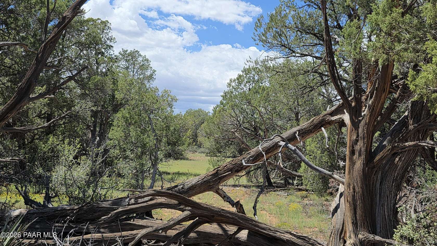 40 Acres of Recreational Land for Sale in Ash Fork, Arizona