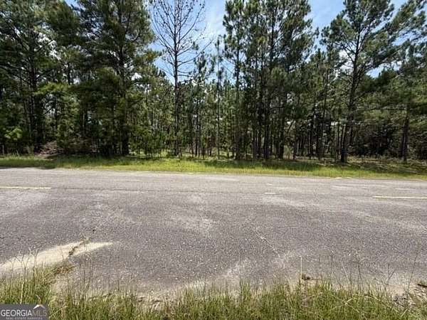2 Acres of Commercial Land for Sale in Vidalia, Georgia