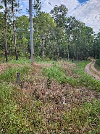 6 Acres of Land for Sale in Poplarville, Mississippi