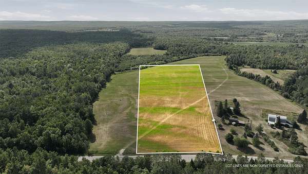 10 Acres of Land for Sale in Bruce, Wisconsin