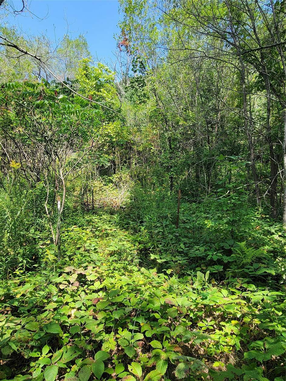 0.29 Acres of Residential Land for Sale in Eau Claire, Wisconsin