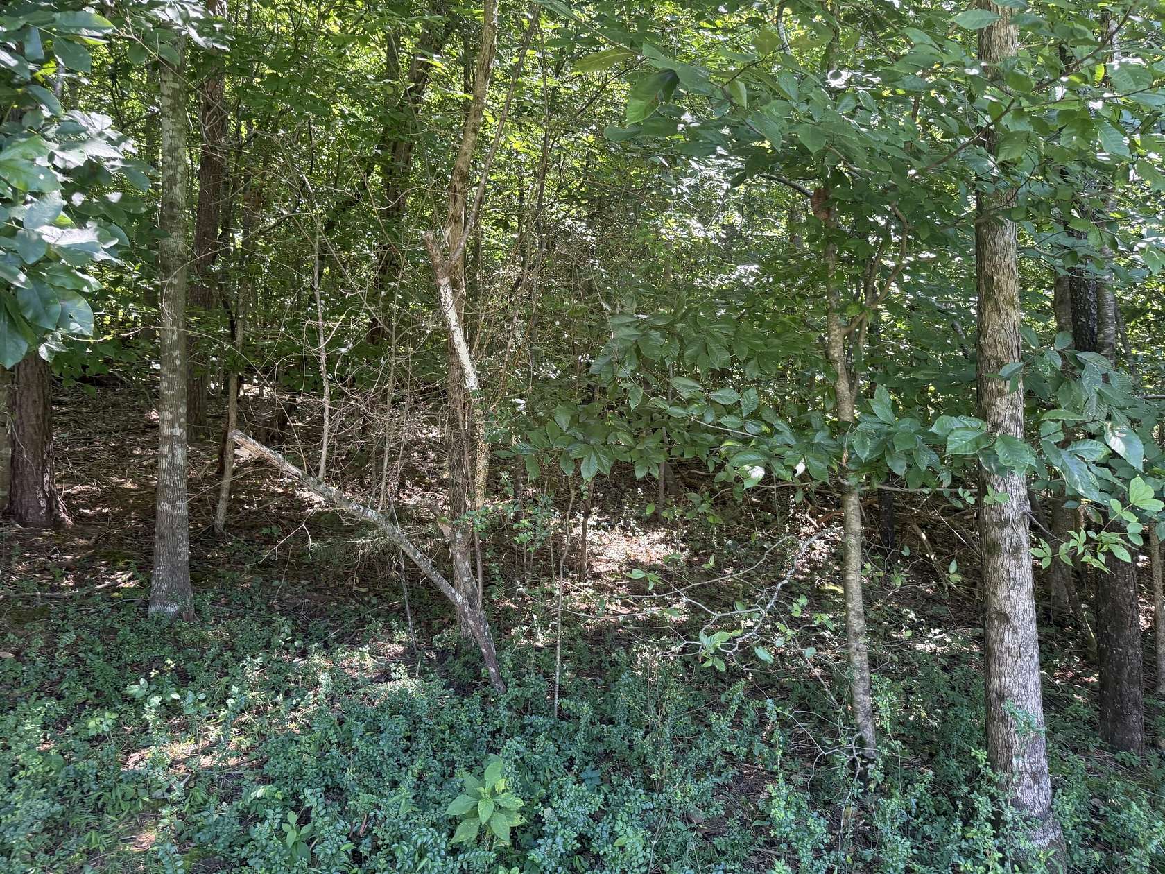 5.19 Acres of Residential Land for Sale in Newport, Tennessee