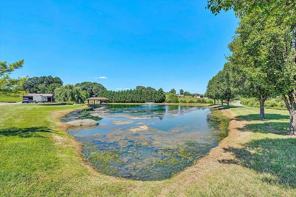 24 Acres of Recreational Land with Home for Sale in Moneta, Virginia