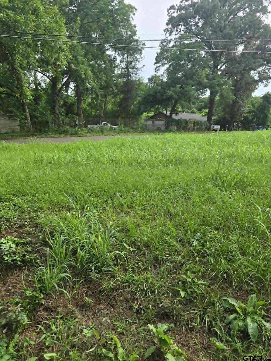 0.06 Acres of Residential Land for Sale in Daingerfield, Texas