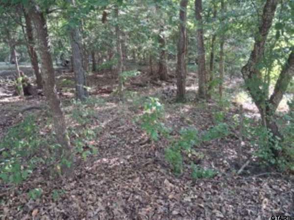 0.28 Acres of Residential Land for Sale in Murchison, Texas