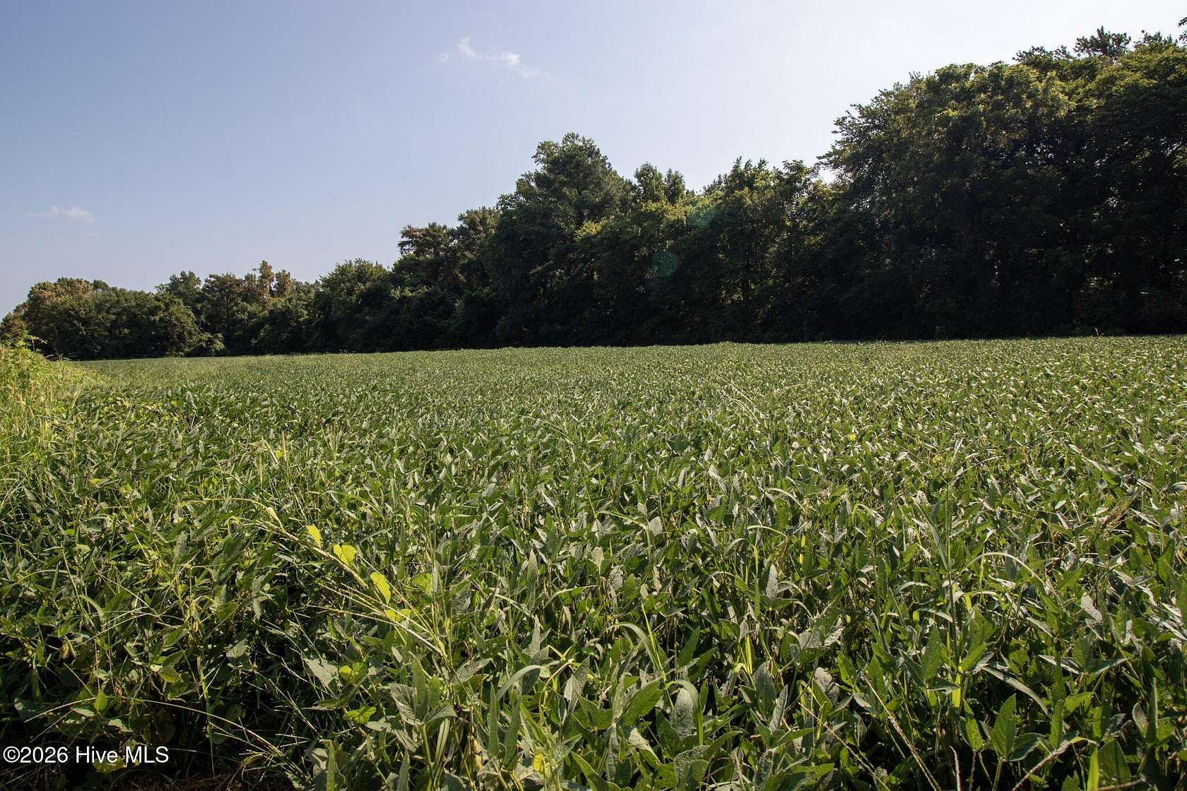 17.8 Acres of Land for Sale in Hertford, North Carolina