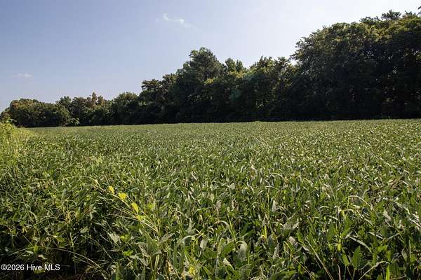17.8 Acres of Land for Sale in Hertford, North Carolina