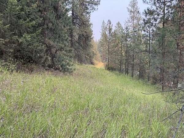 22 Acres of Recreational Land for Sale in Kettle Falls, Washington