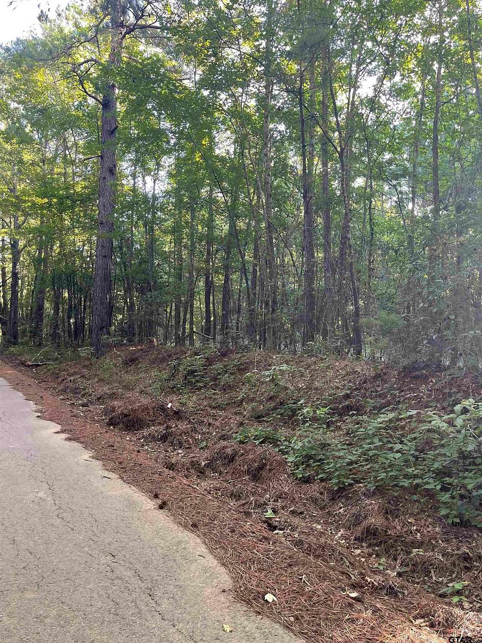 2.39 Acres of Residential Land for Sale in Troup, Texas