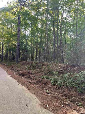 2.39 Acres of Residential Land for Sale in Troup, Texas