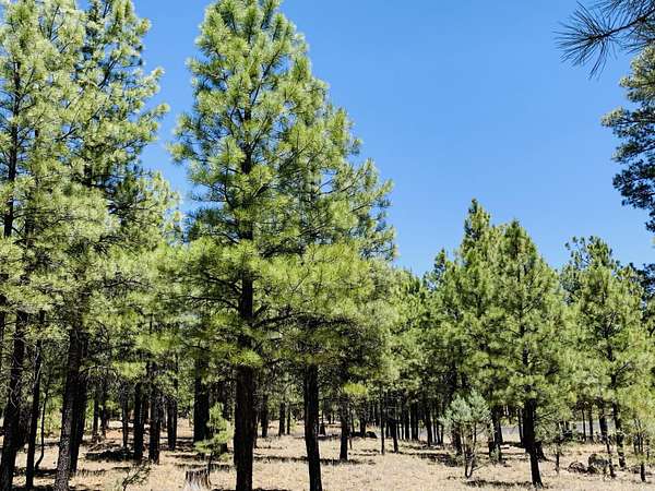 0.87 Acres of Residential Land for Sale in Happy Jack, Arizona