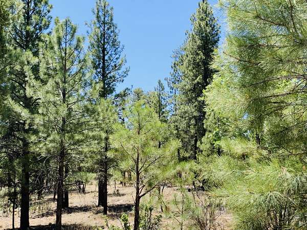 0.83 Acres of Residential Land for Sale in Happy Jack, Arizona