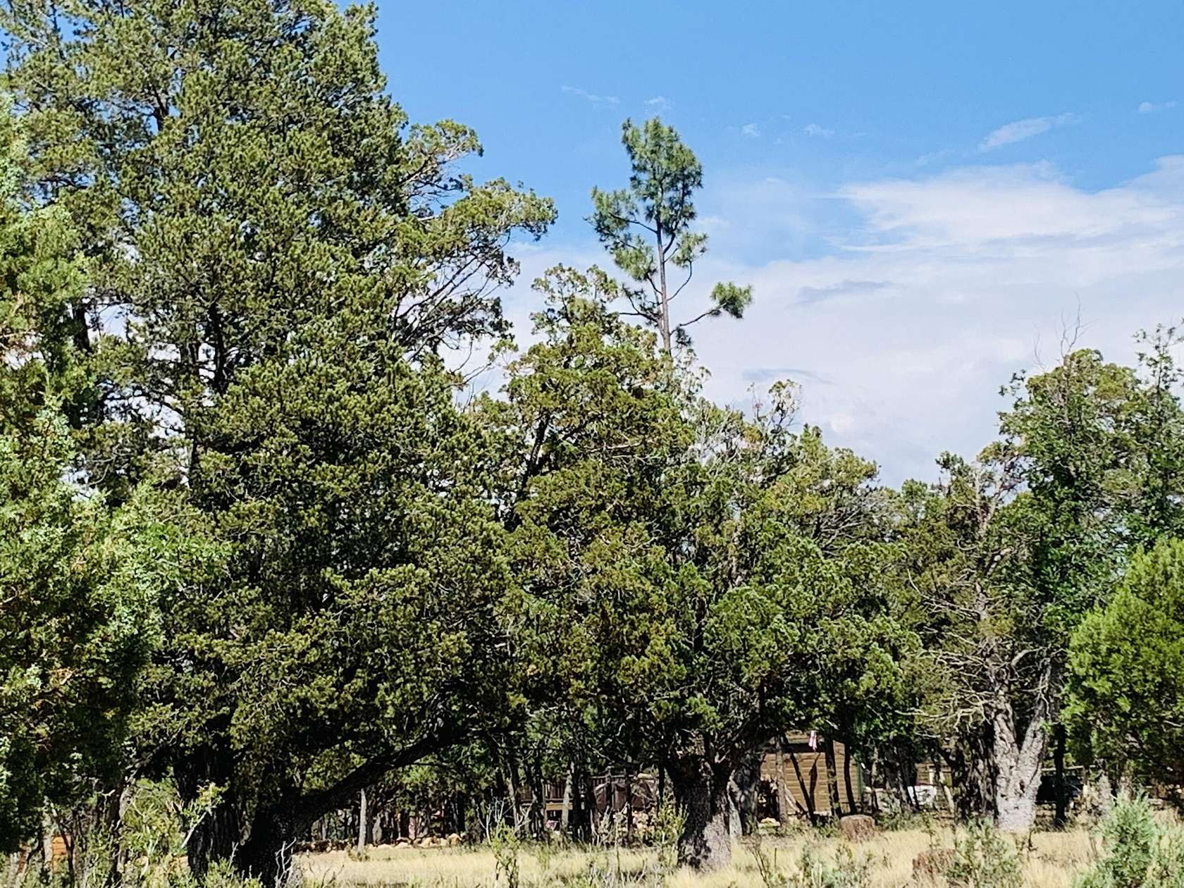 0.69 Acres of Residential Land for Sale in Happy Jack, Arizona