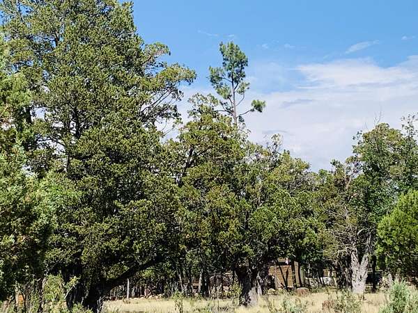 0.69 Acres of Residential Land for Sale in Happy Jack, Arizona
