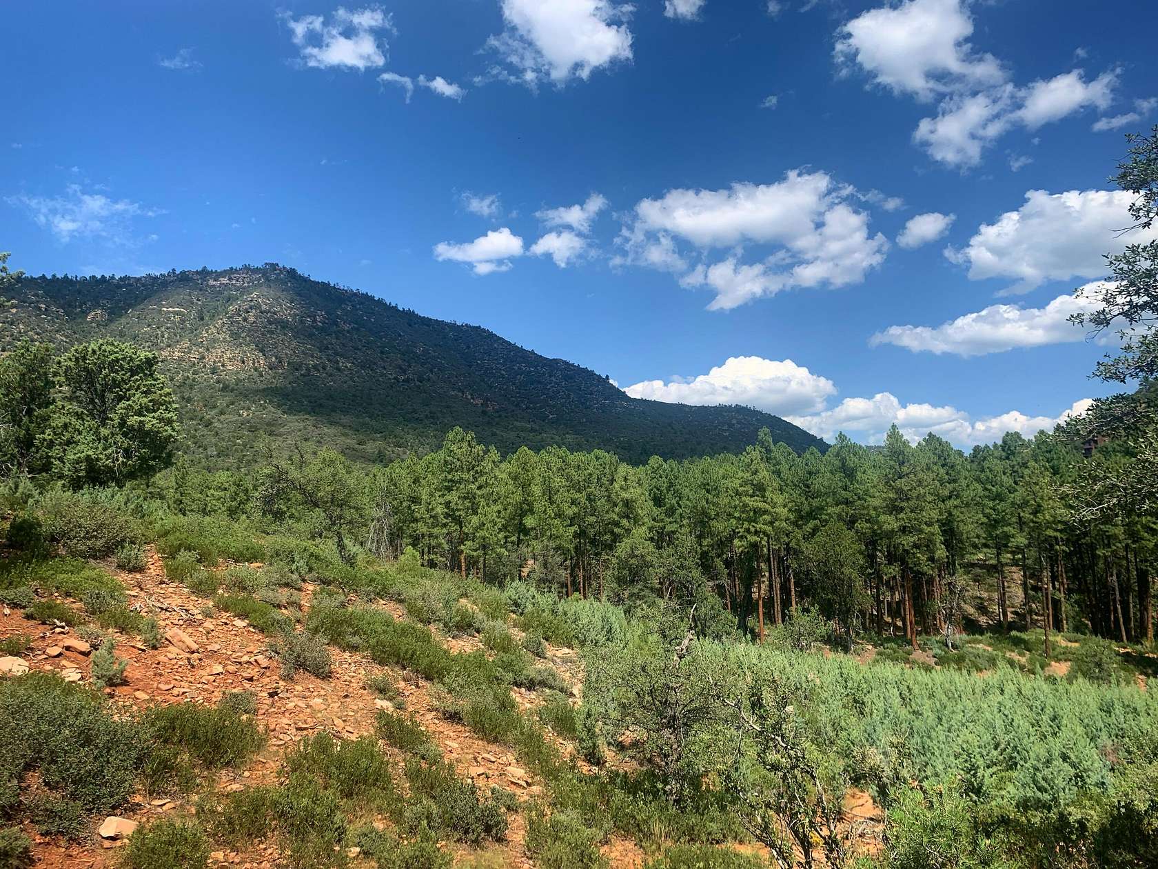 0.3 Acres of Residential Land for Sale in Pine, Arizona