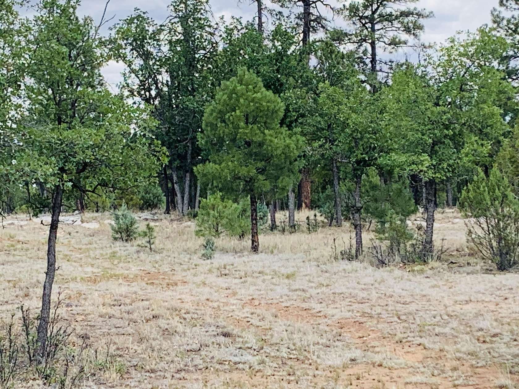 1.52 Acres of Residential Land for Sale in Happy Jack, Arizona