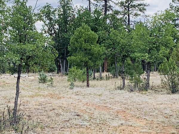1.52 Acres of Residential Land for Sale in Happy Jack, Arizona