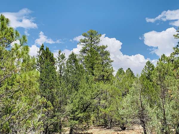 5 Acres of Residential Land for Sale in Happy Jack, Arizona