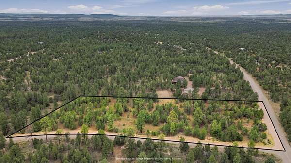 5 Acres of Residential Land for Sale in Happy Jack, Arizona