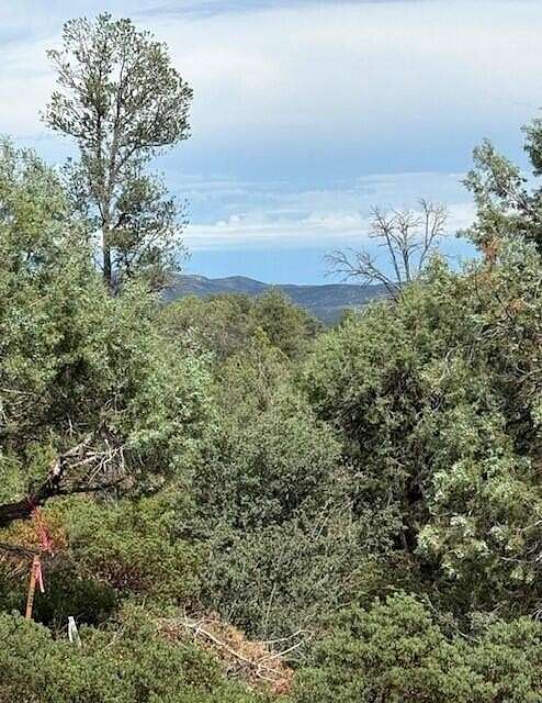 1.28 Acres of Residential Land for Sale in Payson, Arizona