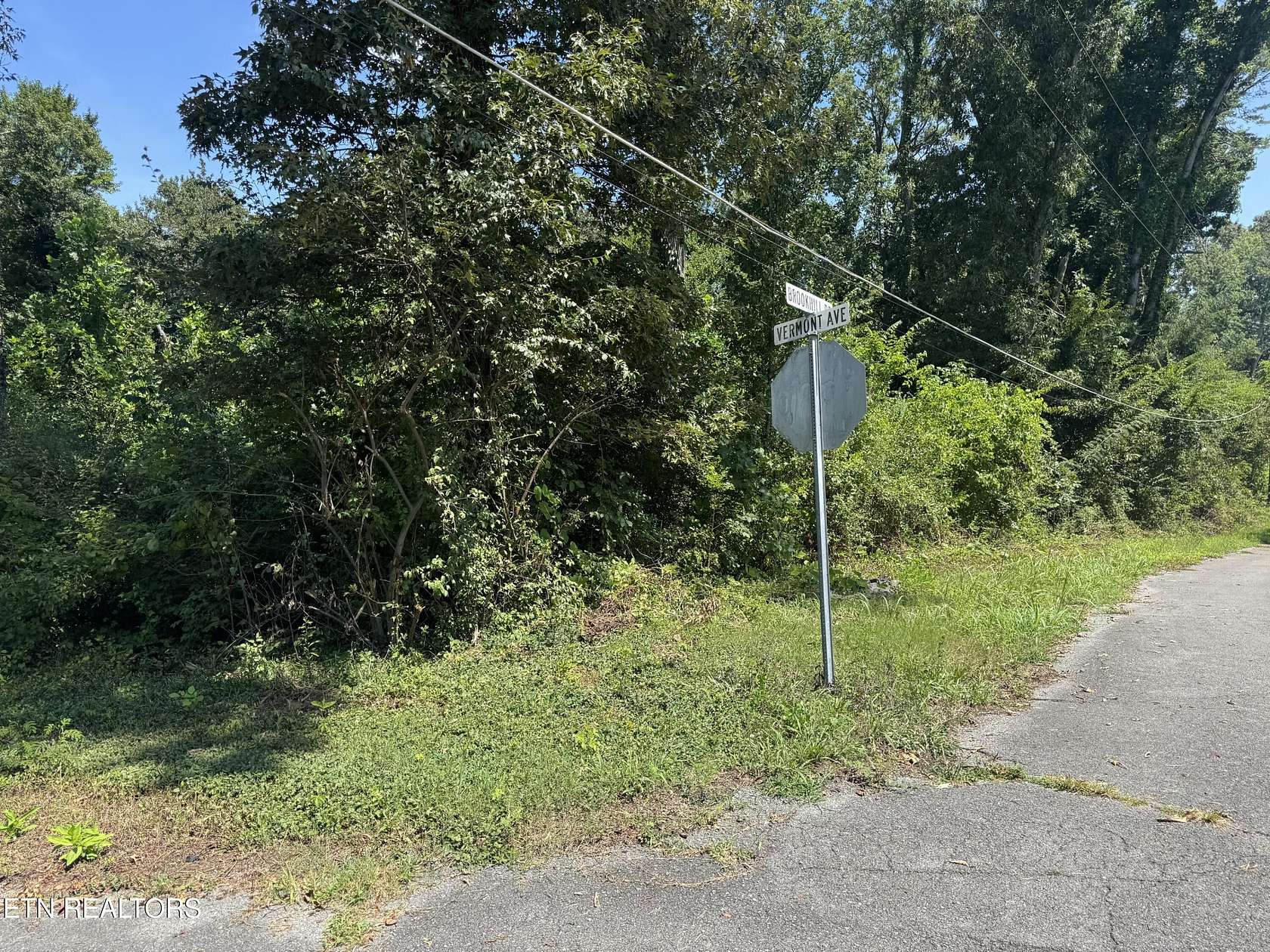 0.34 Acres of Residential Land for Sale in Etowah, Tennessee