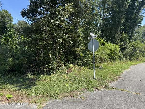 0.34 Acres of Residential Land for Sale in Etowah, Tennessee