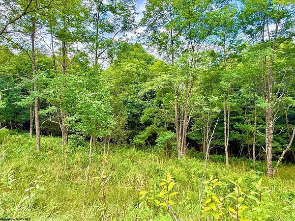 3.27 Acres of Residential Land for Sale in Harman, West Virginia