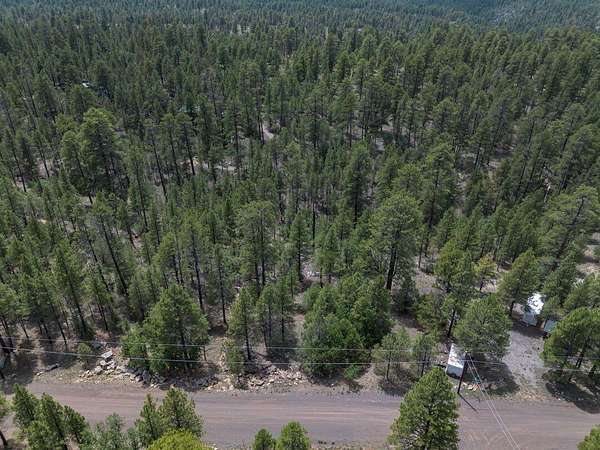 1.54 Acres of Land for Sale in Happy Jack, Arizona
